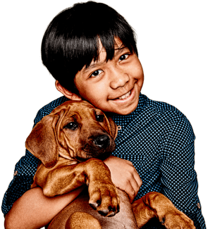 Young boy holding dog