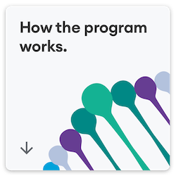 How the program works
