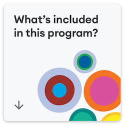 What's included in this program?