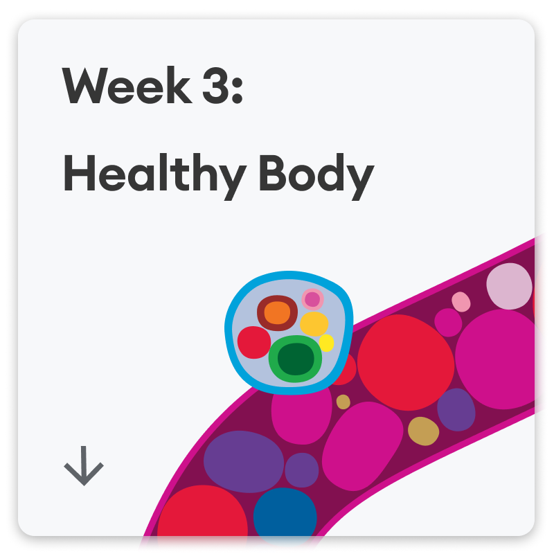 Healthy body