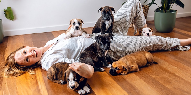 Meditation with puppies