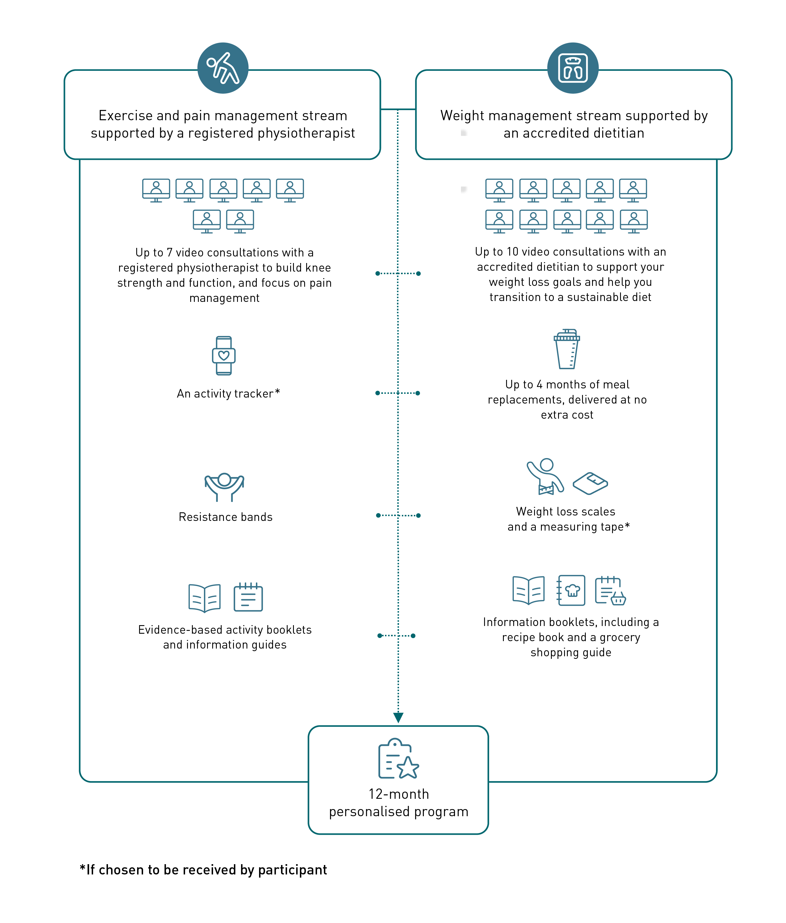 Program infographic