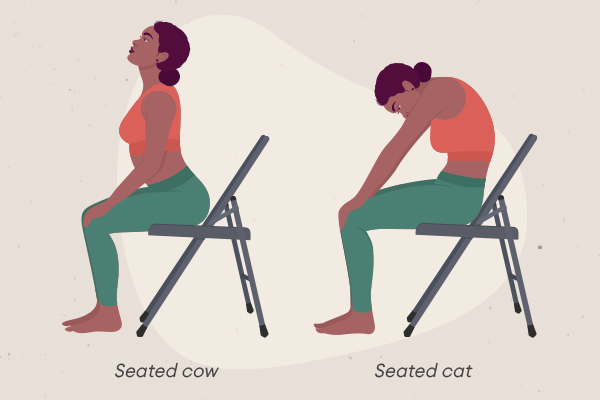 Chair Yoga: Seated cow, seated cat