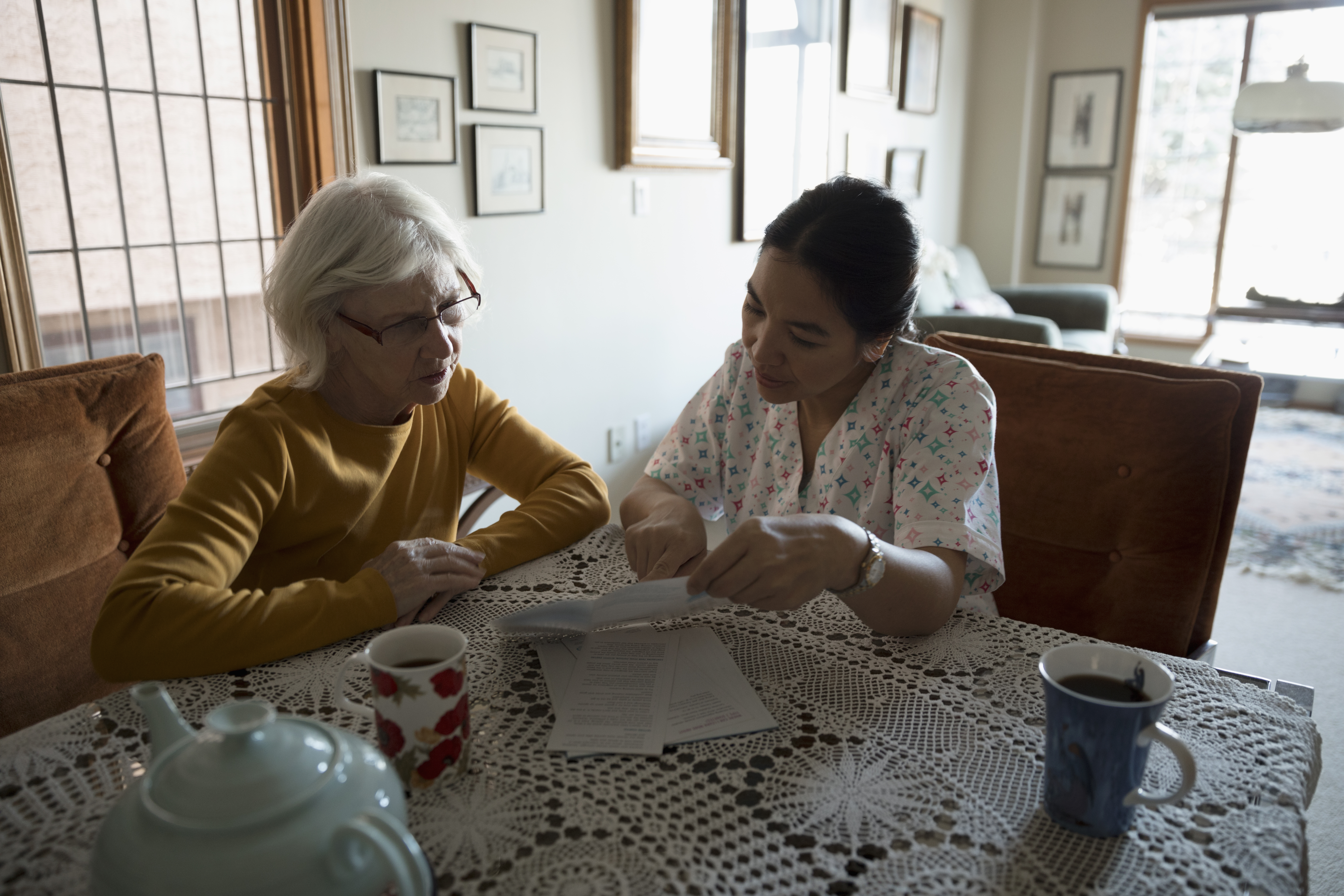 Home caregiver explaining brochures to senior woman