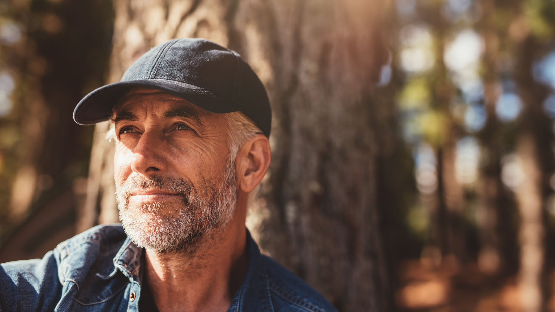 Close up portrait of senior man wearing cap looking away. Mature man with beard sitting in woods on a summer day.