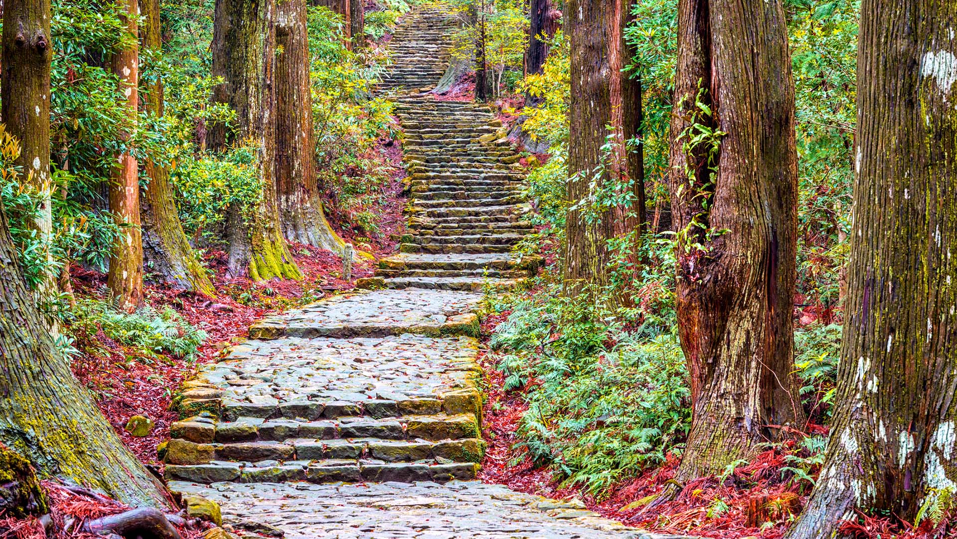 The Kumano Kodo trail, a sacred trail in Nachi, Wakayama, Japan.