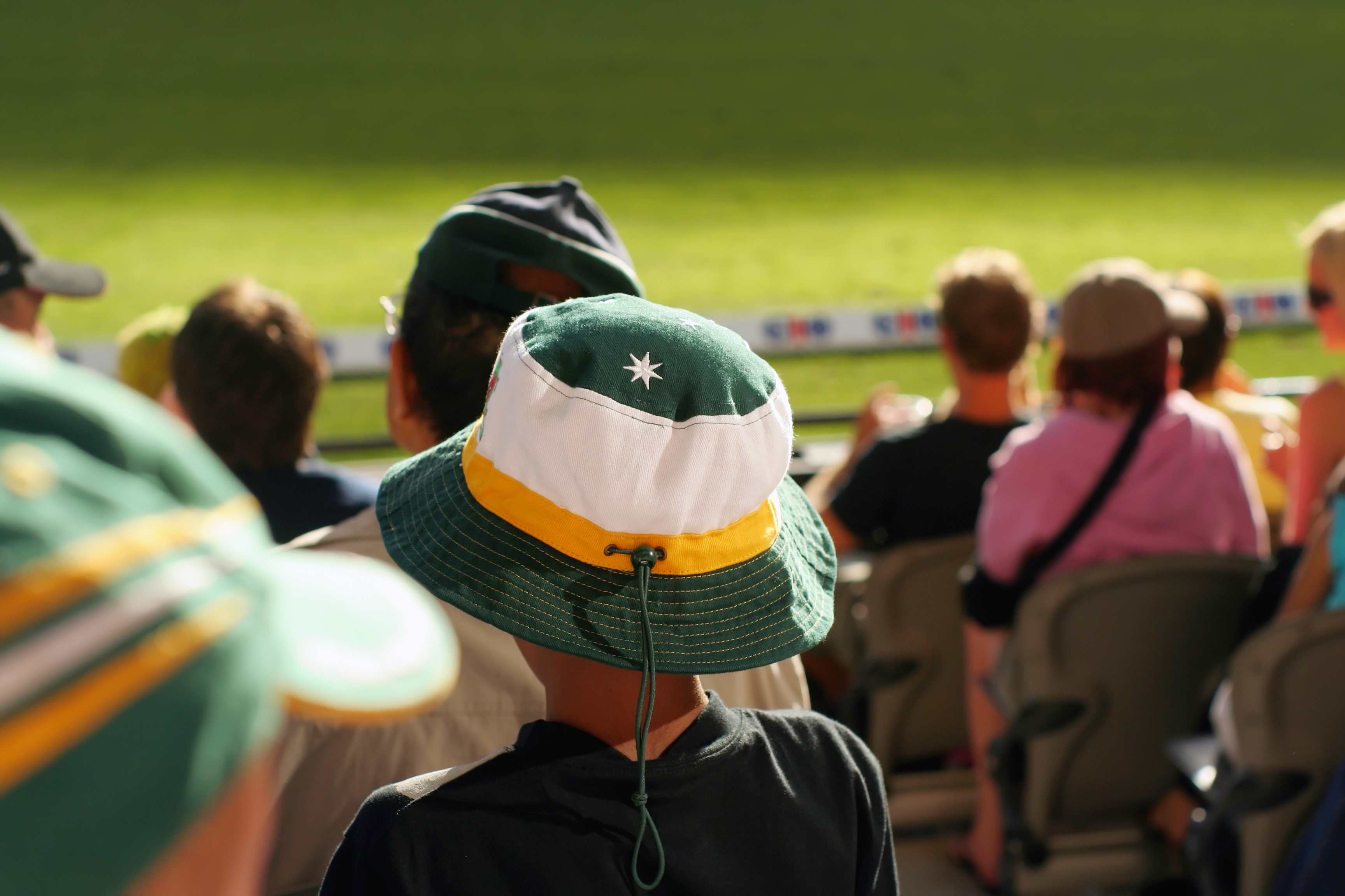 a young boy watches his team at a sports arena. Actually an Aussie cricket supporter watching Australia play an international match, but could be anywhere.