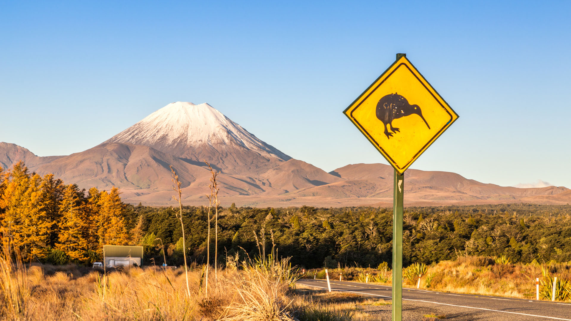 Tongariro National Park, Taupo volcanic zone, North Island, New Zealand