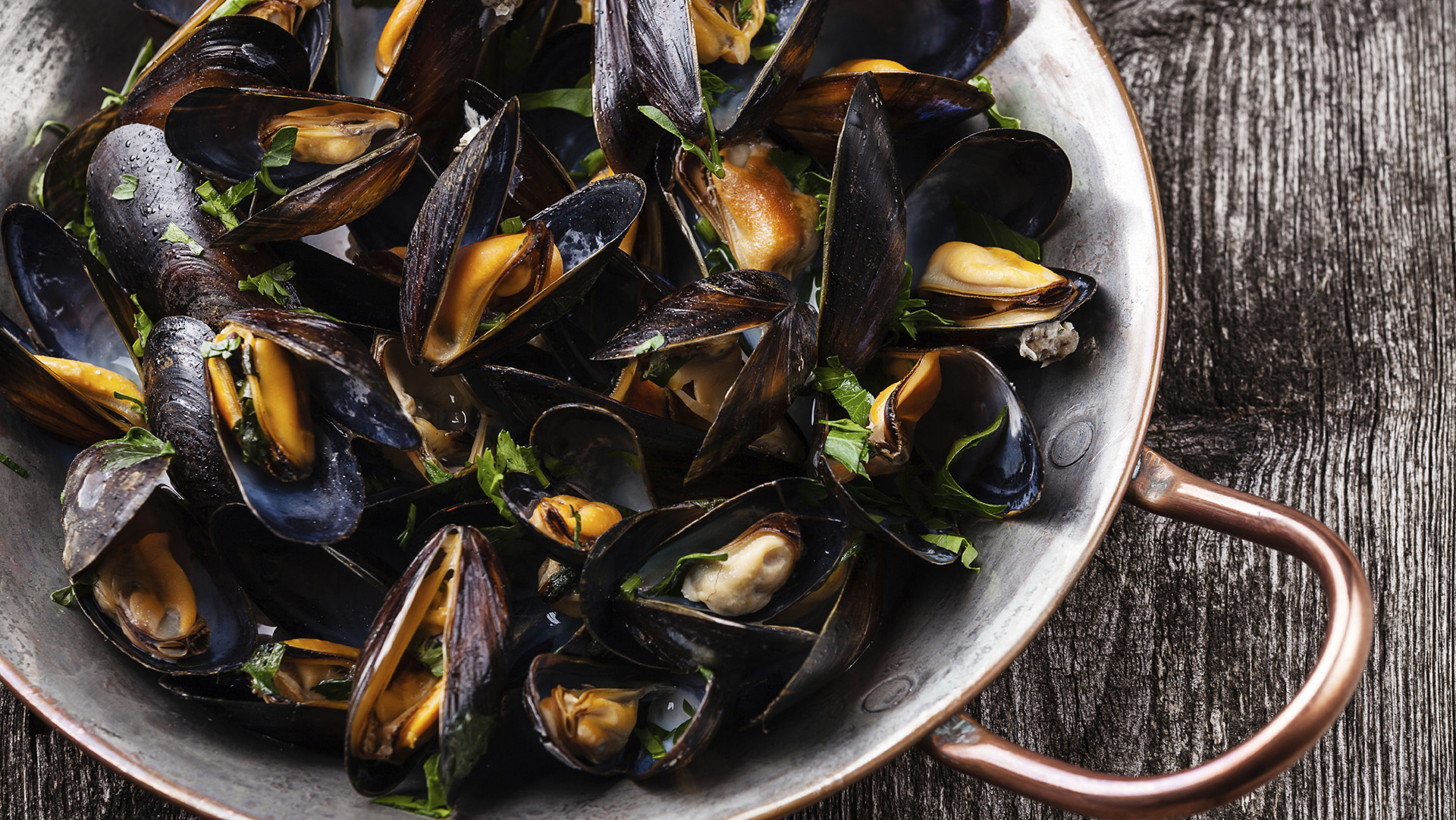 Boiled mussels in copper cooking dish on dark wooden background close up