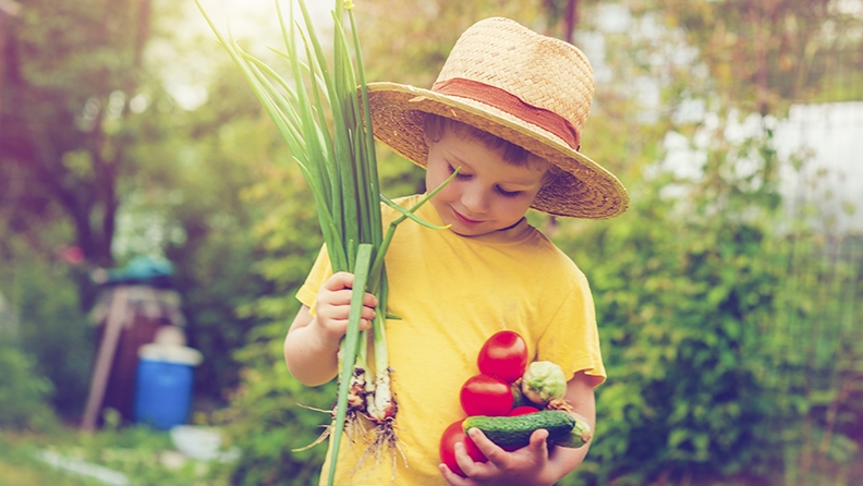 Gardening is a fun way to teach children about food