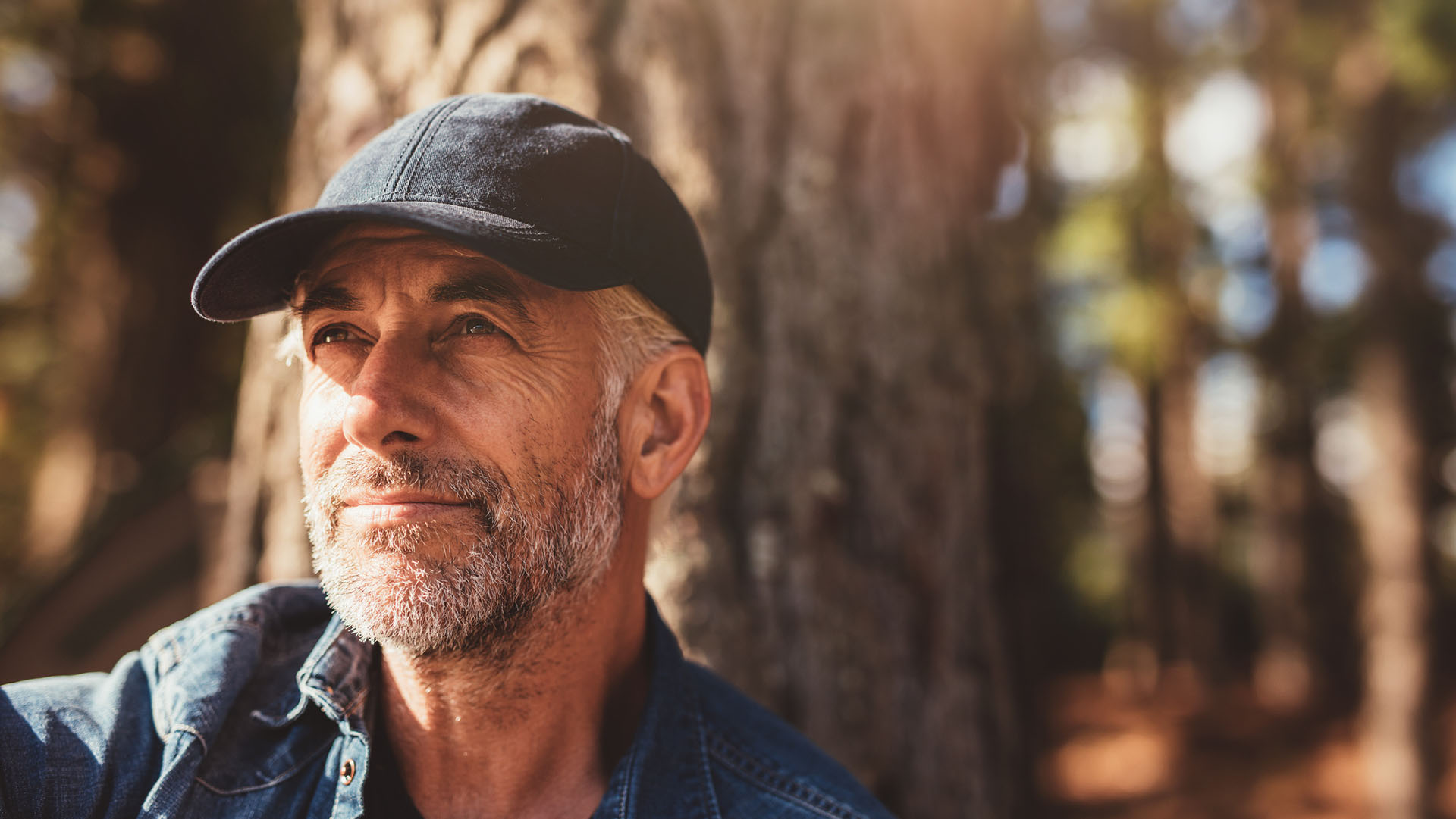 Close up portrait of senior man wearing cap looking away. Mature man with beard sitting in woods on a summer day.