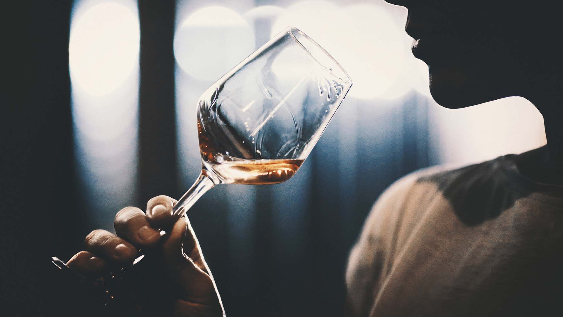 Closeup of unrecognizable adult man slightly swirling a glass of rose wine under his nose and trying to catch bouquet. She's in a wine cellar, there are blurry metal tanks in background. Backlit