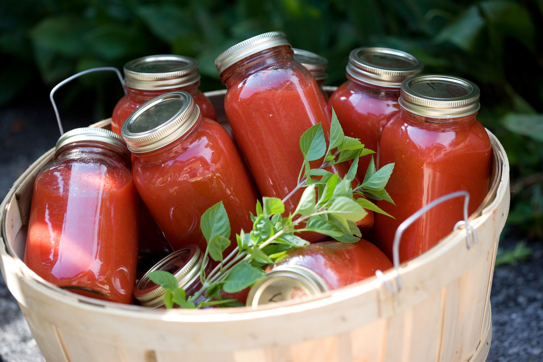 Tomato and Basil Sauce Recipe Live Better