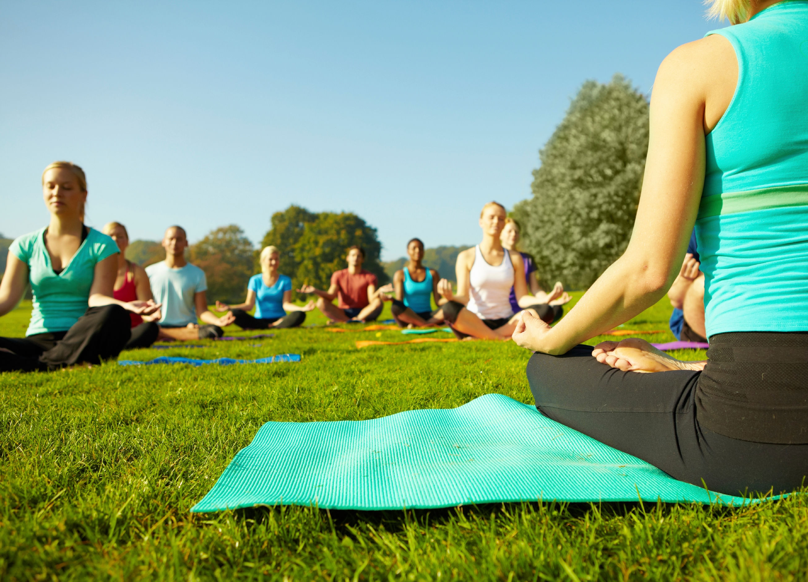 Ground view of a group of people attending a yoga class outdoors