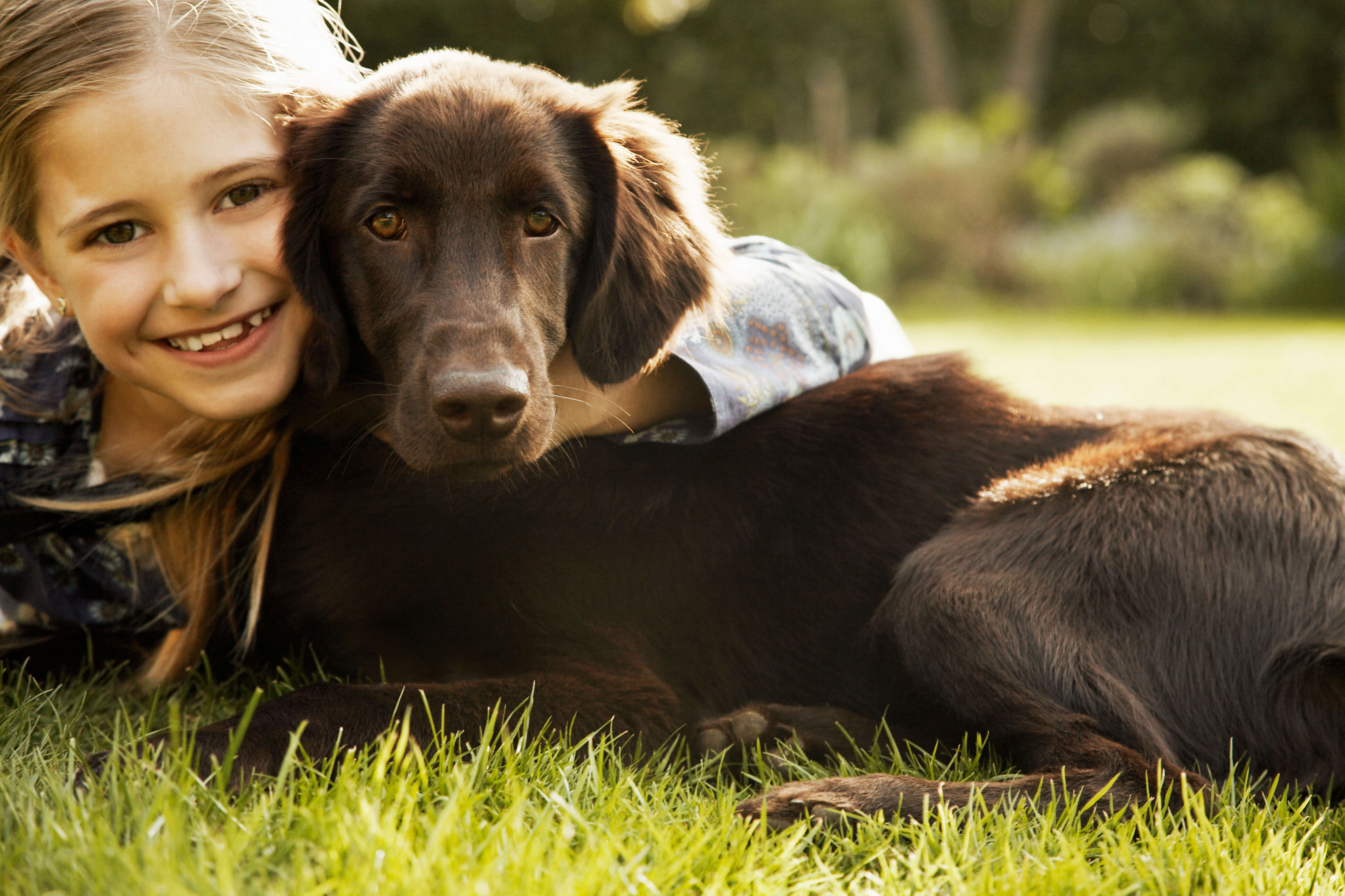 Our furry friends do more than make us feel happy – they can keep us healthier.