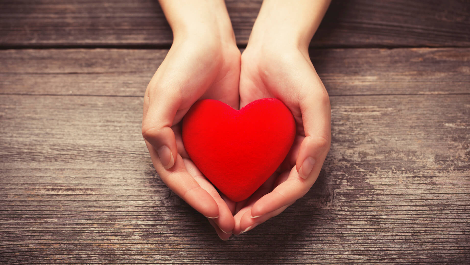 Female hands giving red heart