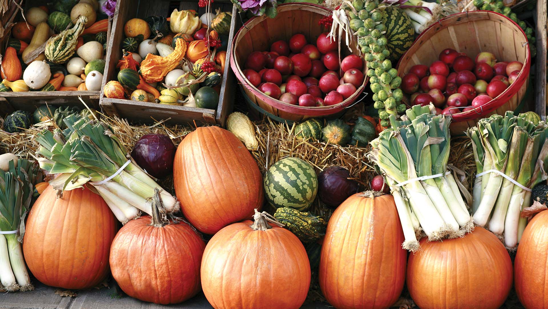 Pumpkins and gourds on display outdoors at farmer's market.