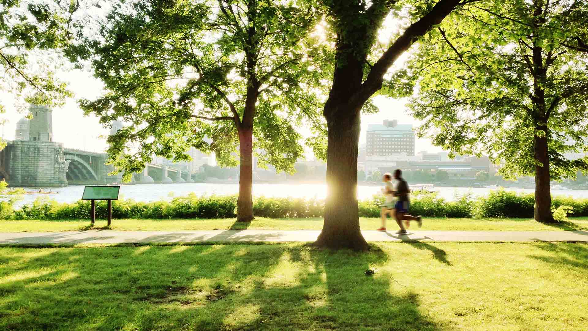 Runners in a park in Boston, photo taken with an iphone 5