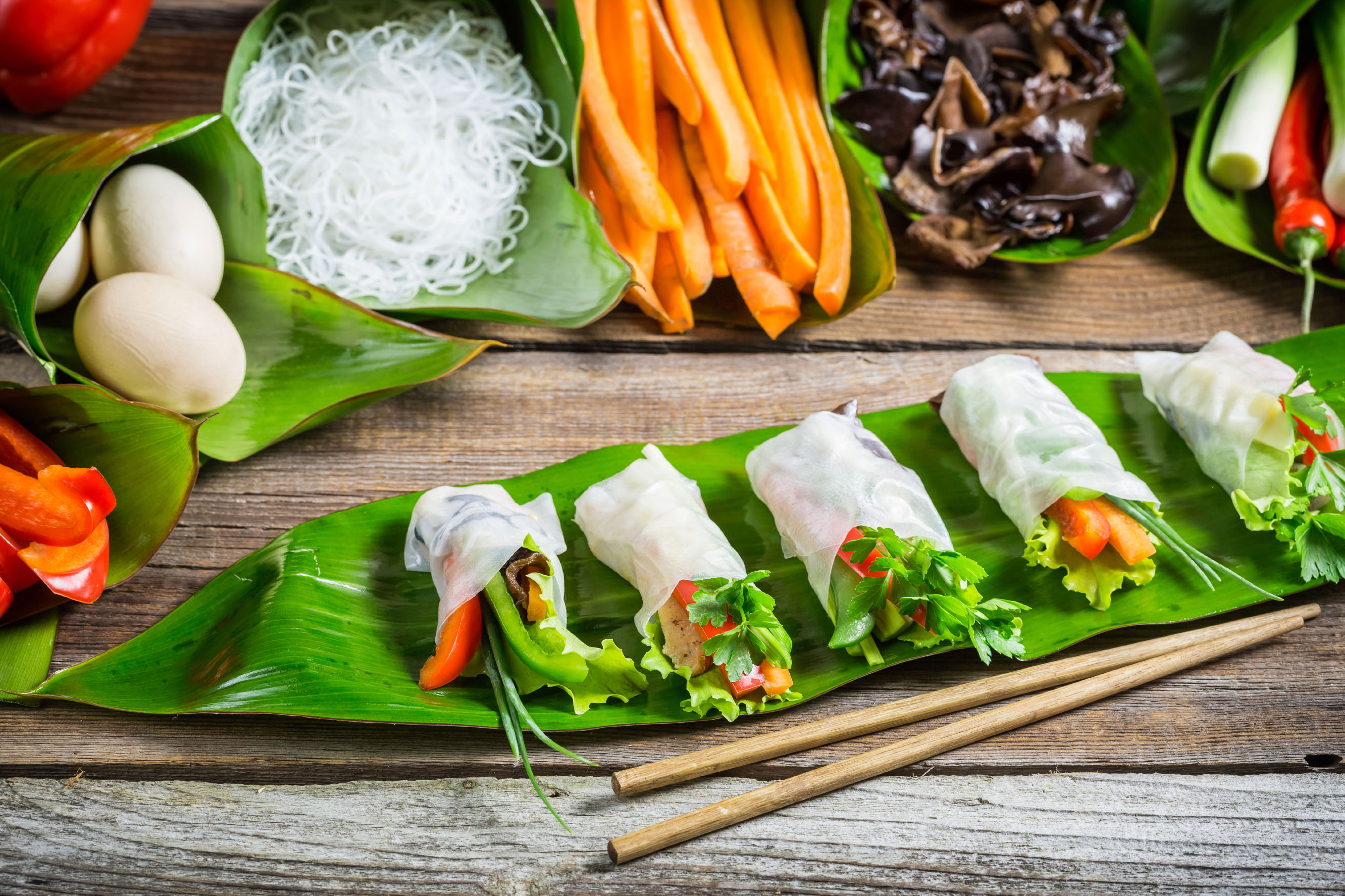 Spring rolls with vegetables and chicken