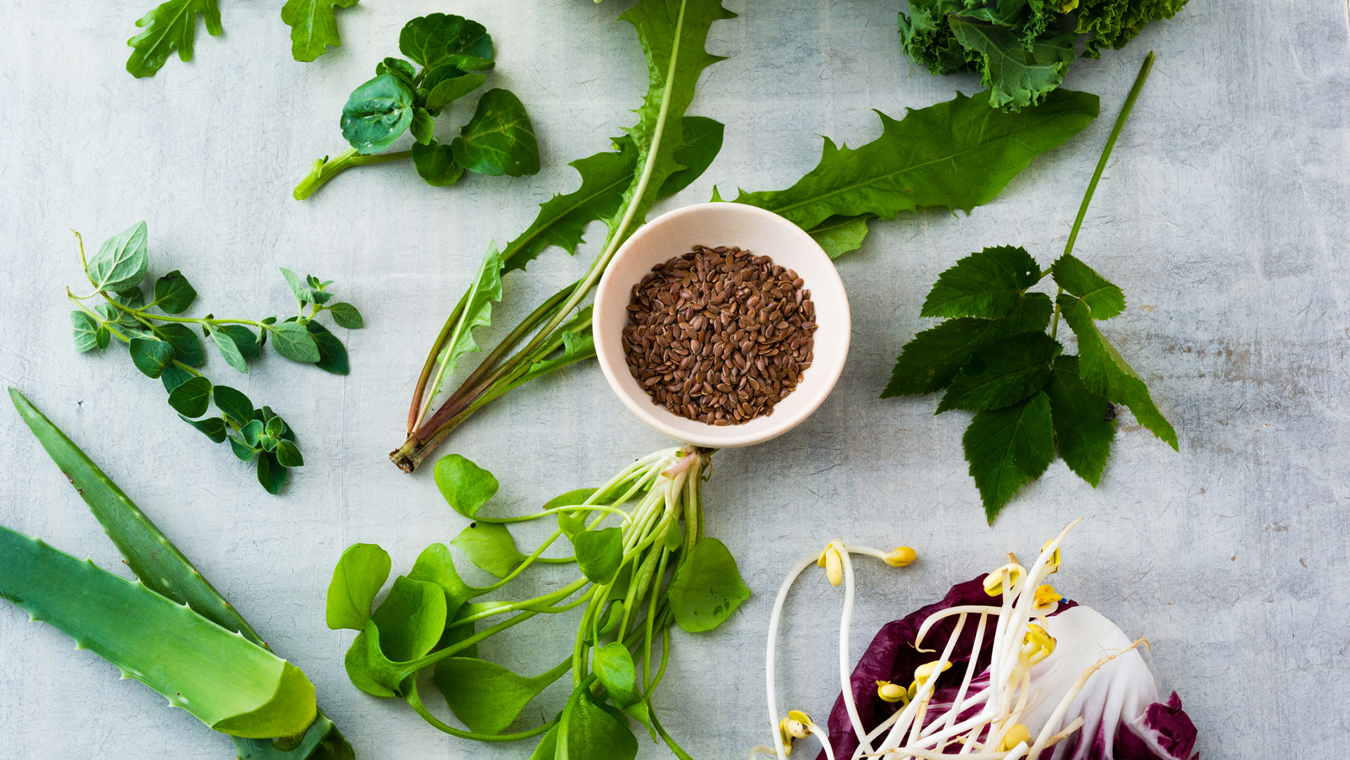 Collection of fresh herbs and salad