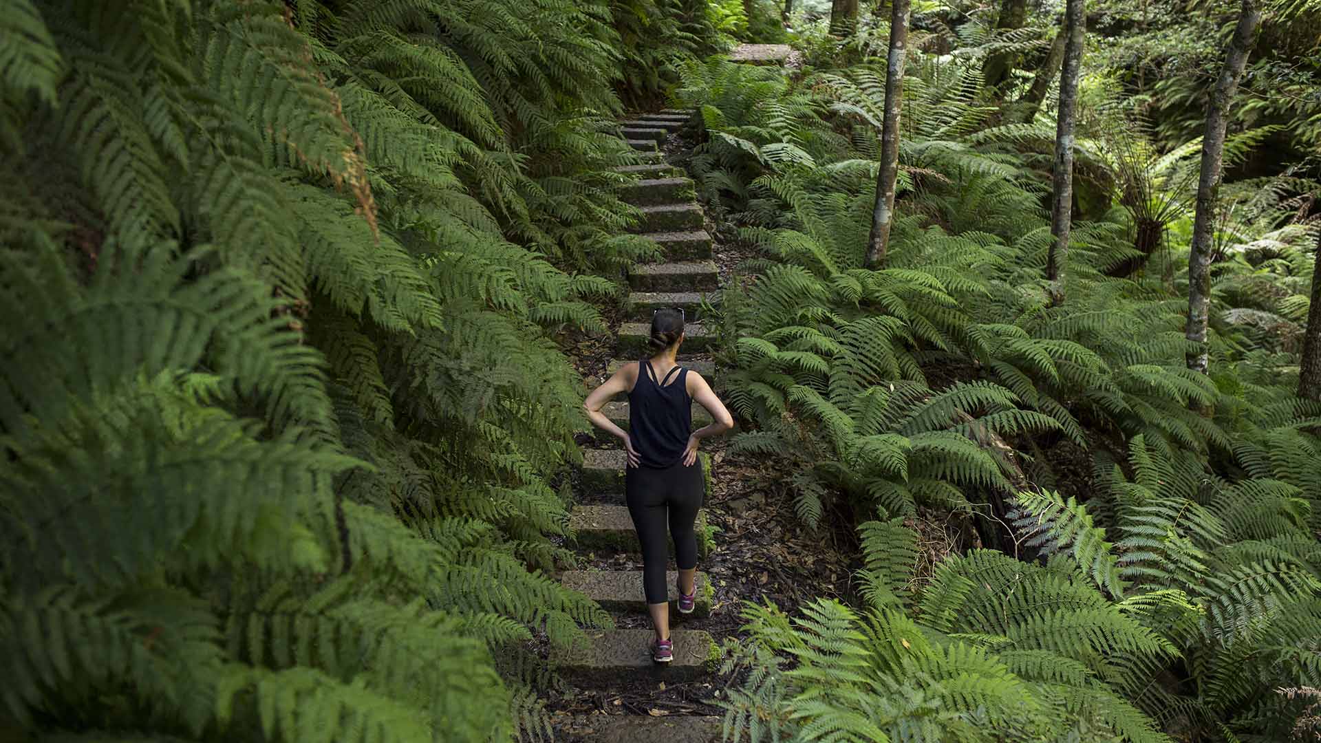 Walking along the stone steps in the Blue Mountains, Rodriguez Pass near Evan's Lookout