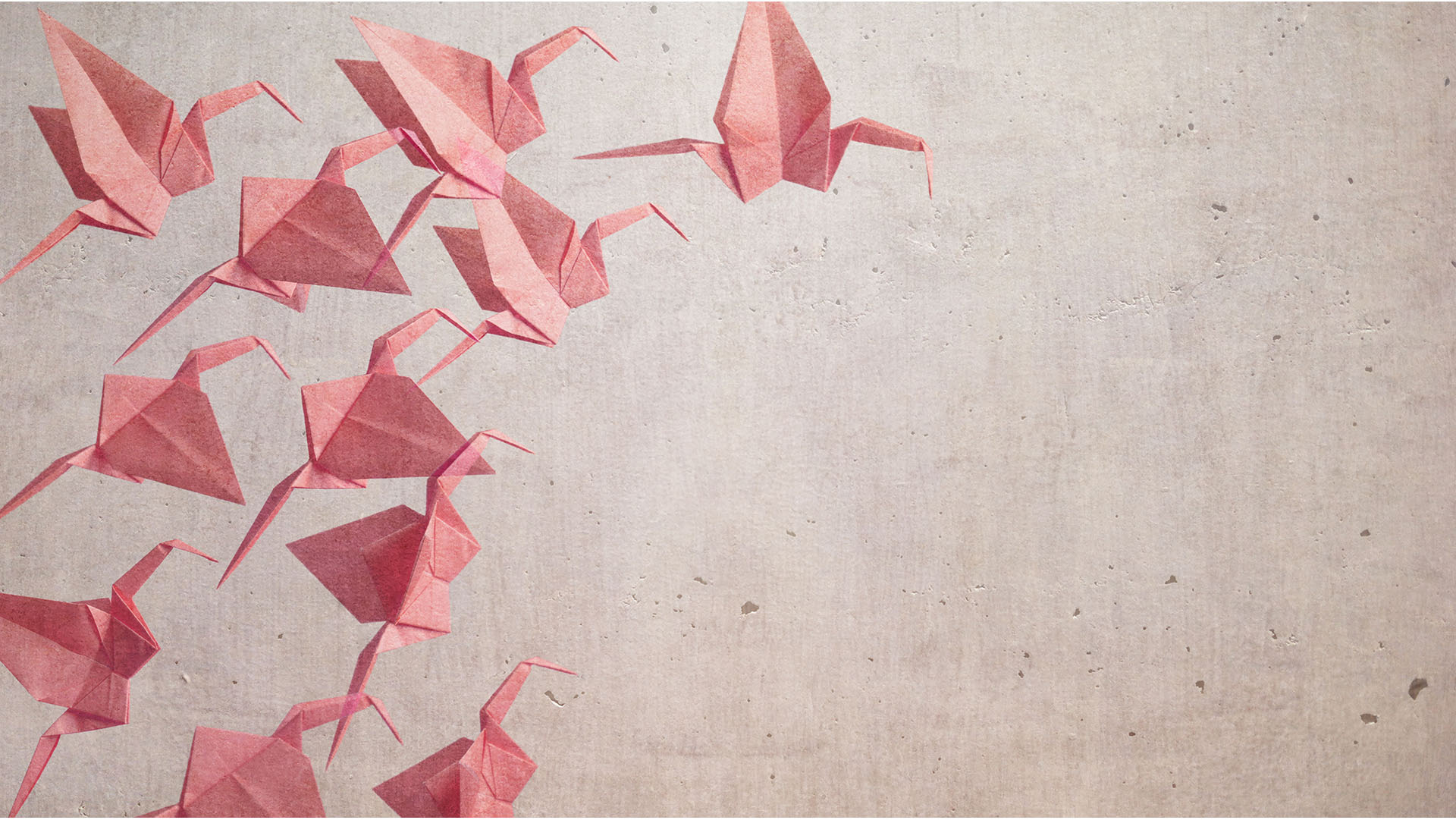 Several red color origami cranes, traditional Japanese art of paper folding. ( Dreamy Look )