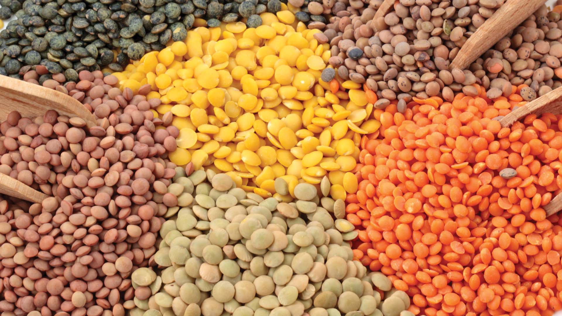 Group of lentils isolated on white background