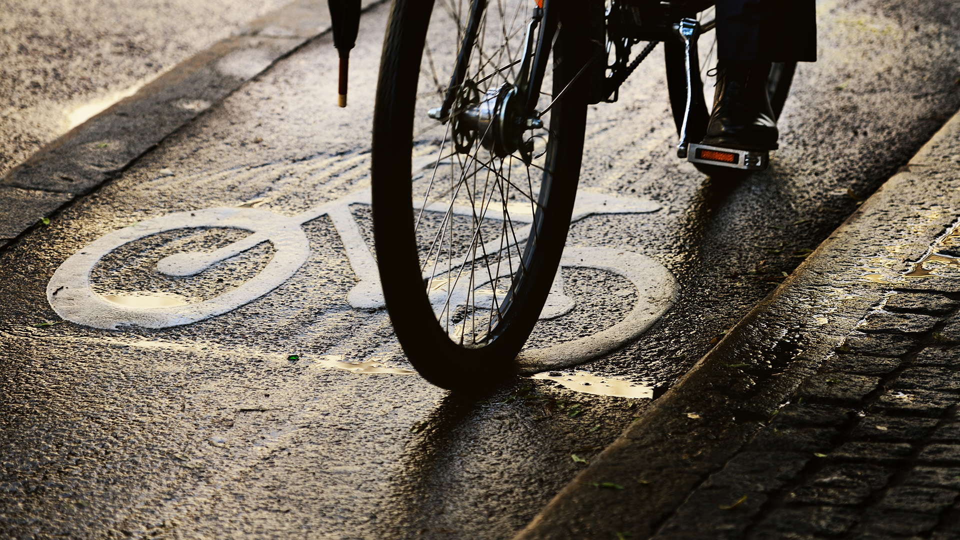 Bike lane on a rainy day. Sign for bicycle painted on the asphalt.