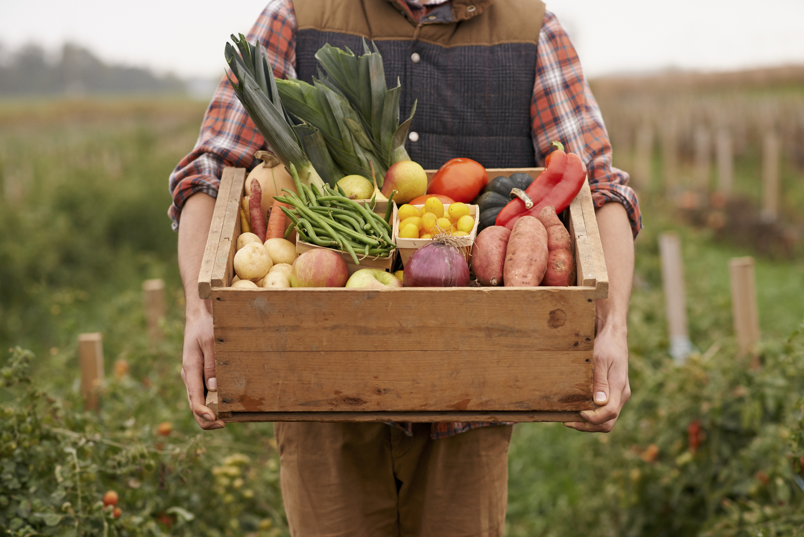 Cropped shot of a farmer carrying a crate full of fresh producehttp://195.154.178.81/DATA/i_collage/pu/shoots/806061.jpg