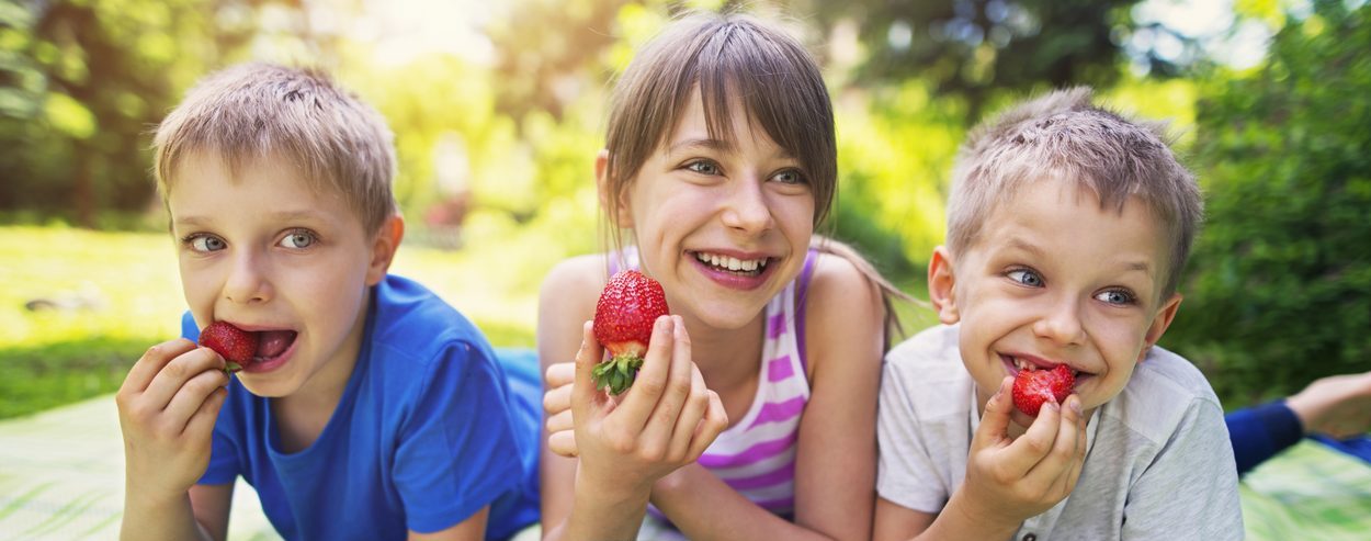 Three kids laughing, having fun on picnic and eating strawberries. Kids are lying on the front on the blanket in the garden, front yard or park. The girl is 10 and her brothers are 6 years old.