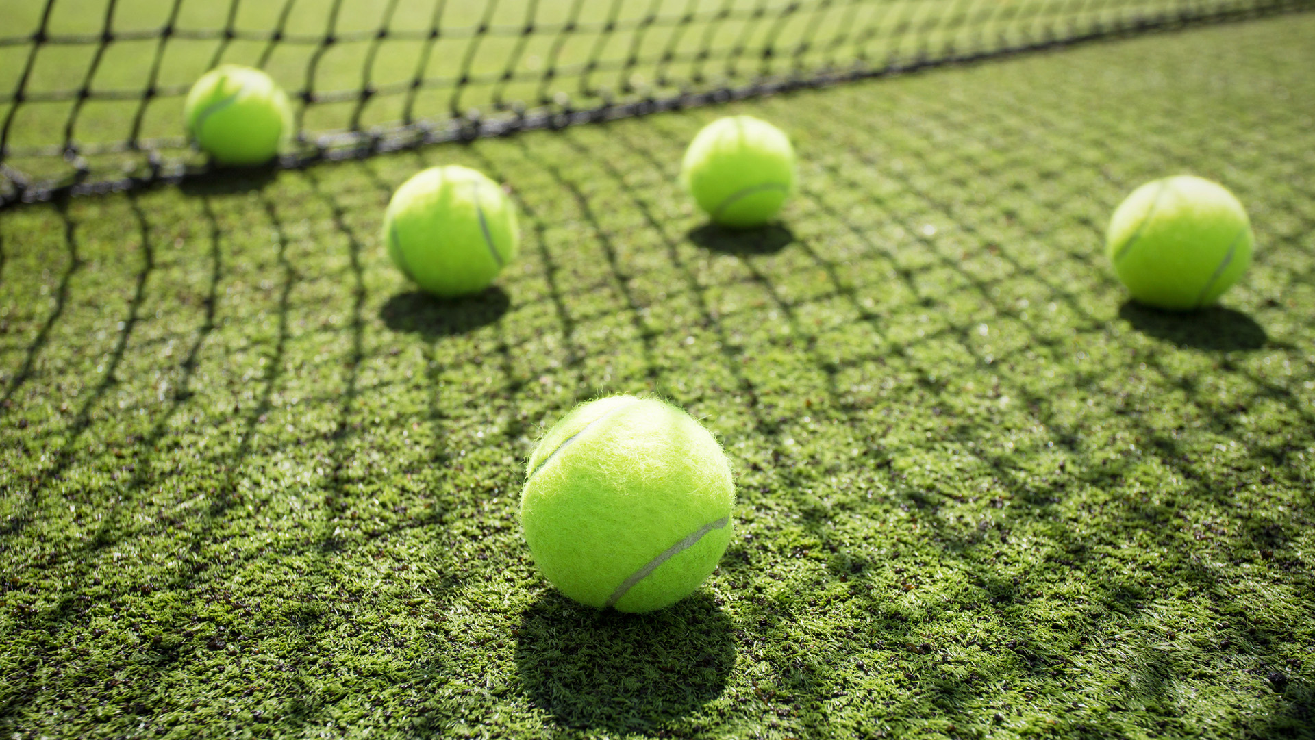 Five tennis balls on the court grass