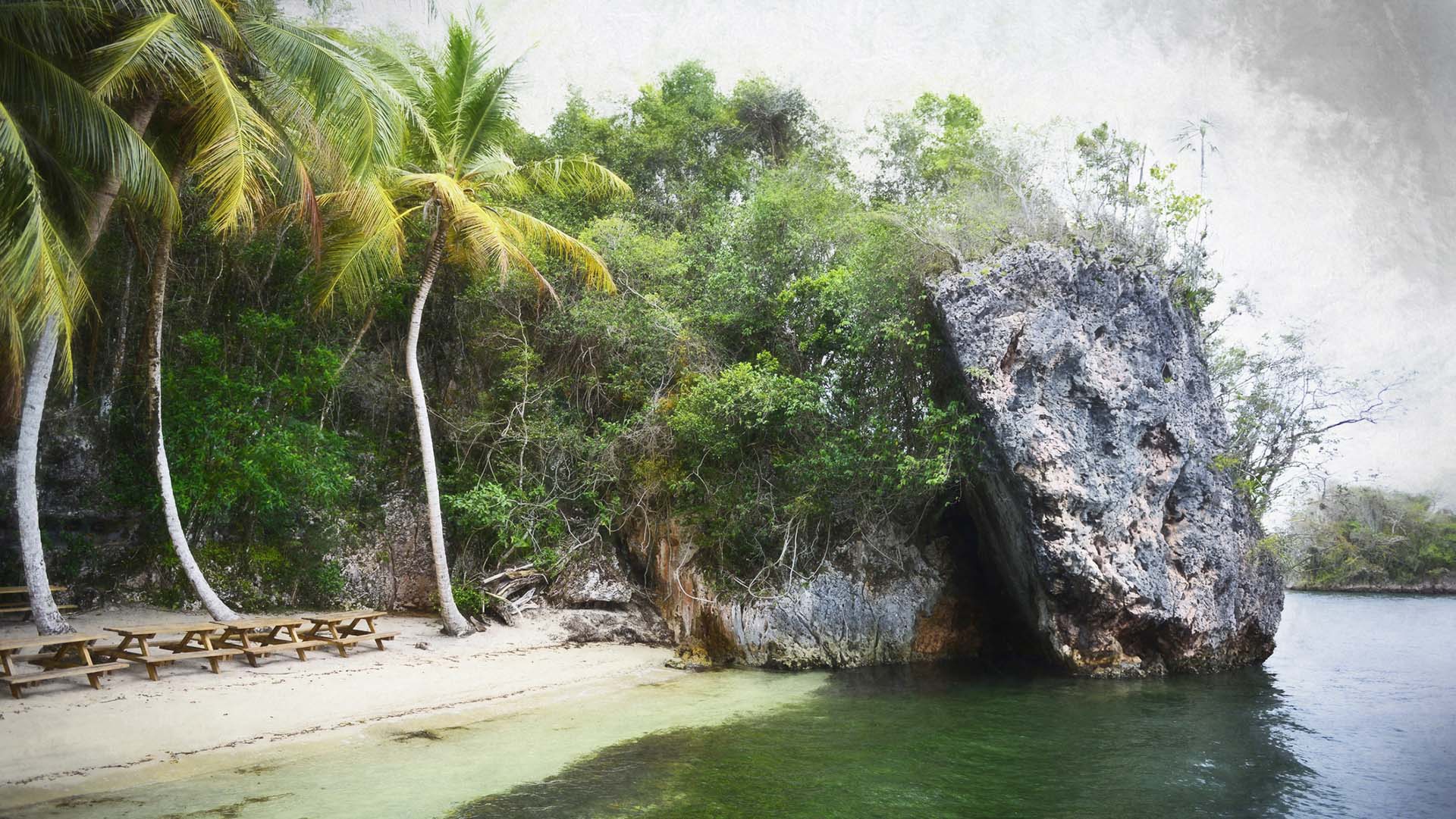 Mangrove, Los Haitises National Park, Bird Island, Dominican Republic