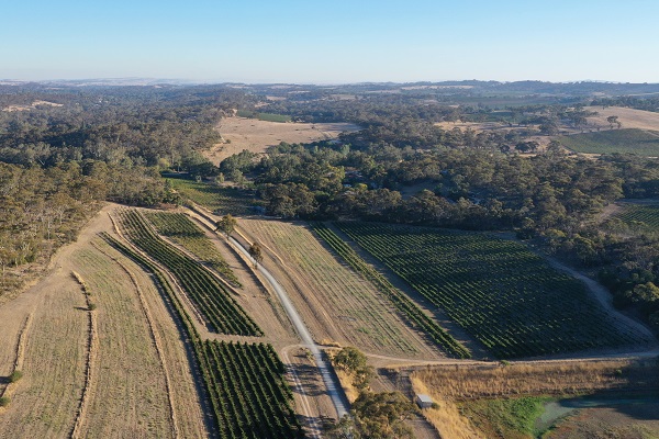 Clare Valley parkrun