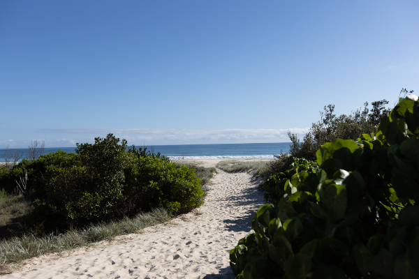 Kirra parkrun