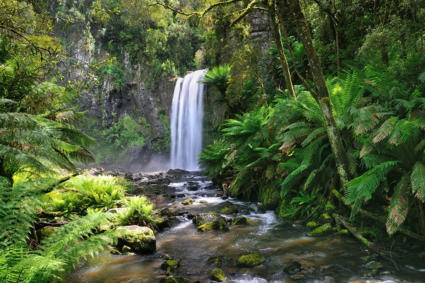 A waterfall surrounded by rainforest 