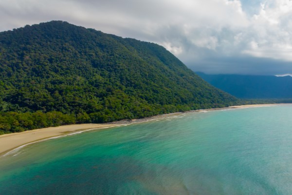 Cape Tribulation