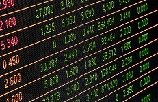 Share price