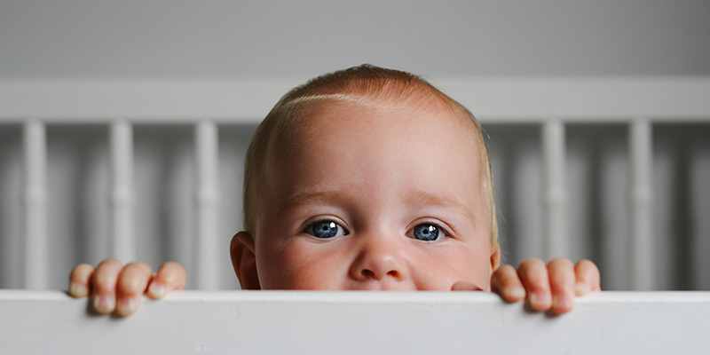 An awake baby looking over the bars of their cot An awake baby looking over the bars of their cot