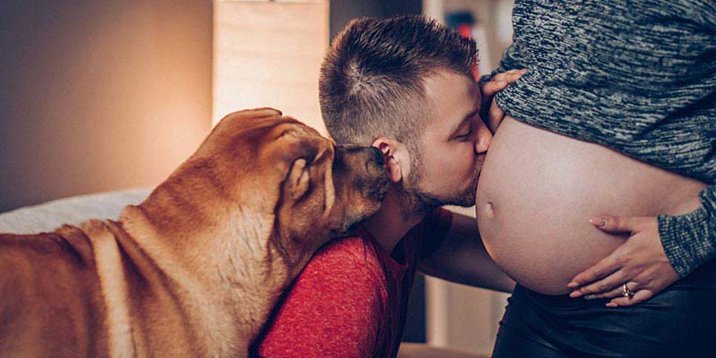 A partner kissing his partner's pregnant belly A partner kissing his partner's pregnant belly