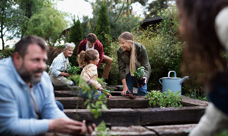 community garden