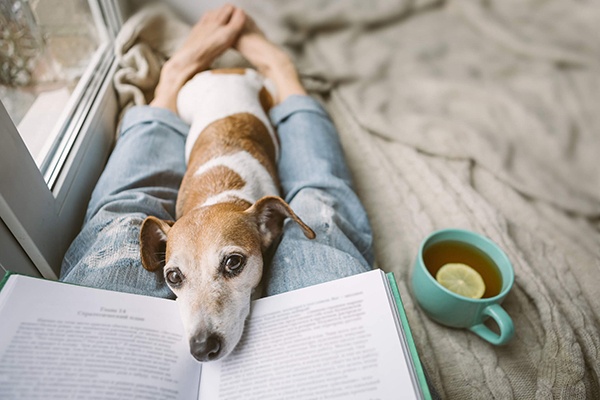 A person relaxing on couch with their dog