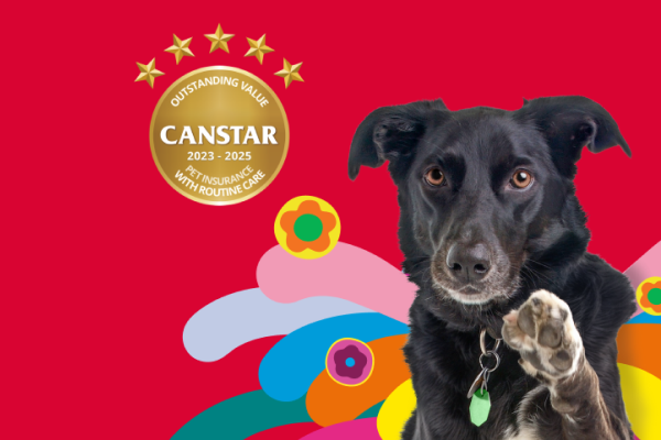 1 month free Medibank Pet Insurance