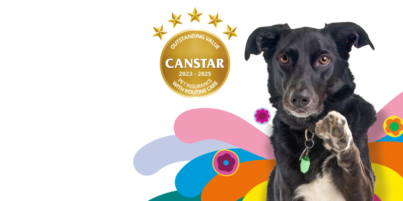 Medibank Pet Insurance