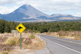Scenic roads in New Zealand