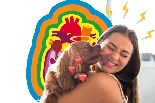 Pet Max Pet Insurance