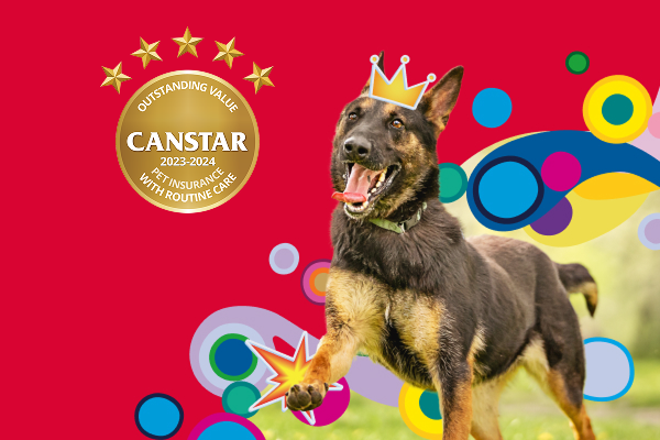 Members save 10% on pet insurance.