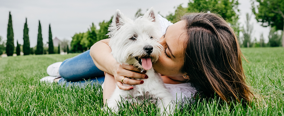 Medibank Pet Insurance