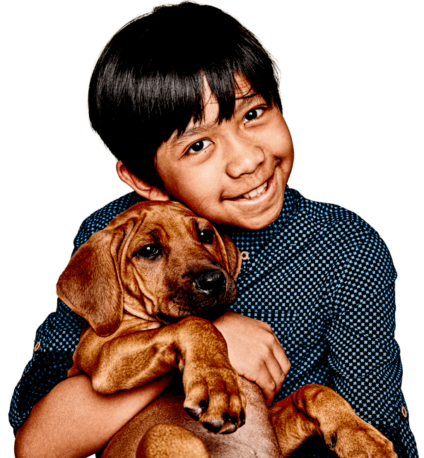 Medibank Pet Insurance