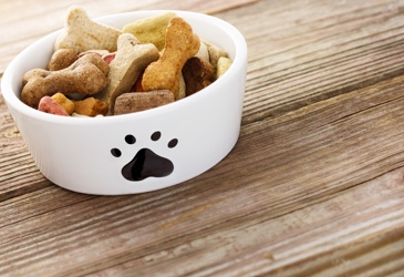 A bowl full of pet food