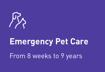 Emergency Pet Care